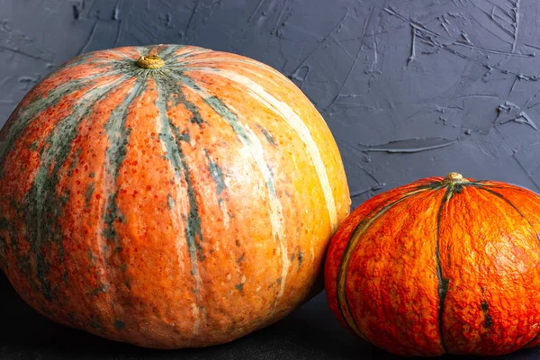 Calabazas anaranjadas pequeñas y grandes —  Fotos de Stock