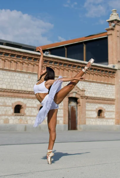 BallerinaオンPointとともにTutu — ストック写真