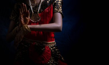 Bir kız tarafından verilen Hint dans formu Bharatnatyam pozu.