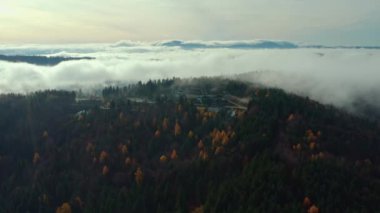 Güney Polonya 'daki vadi ve ormanlarda bulutların oluştuğu drone görüntüleri..