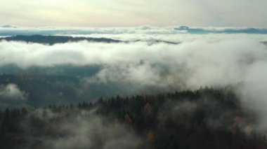Güney Polonya 'daki vadi ve ormanlarda bulutların oluştuğu drone görüntüleri..