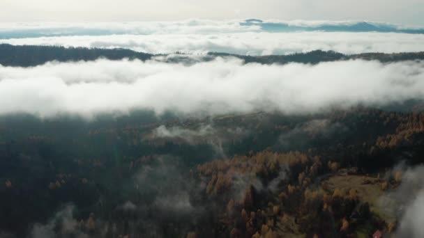 Drohnenaufnahmen Von Wolken Die Sich Tal Und Wald Südpolen Bilden — Stockvideo