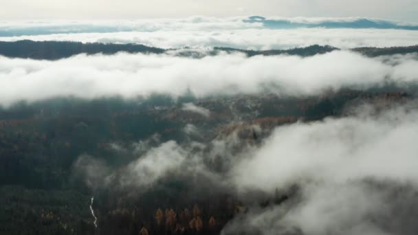Drone Πλάνα Από Σύννεφα Που Σχηματίζονται Στην Κοιλάδα Και Δάσος — Αρχείο Βίντεο