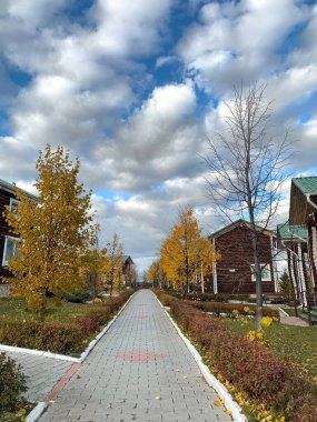 Sonbaharda kır yolu