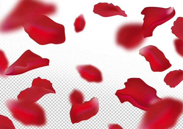 Pétales de rose — Image vectorielle