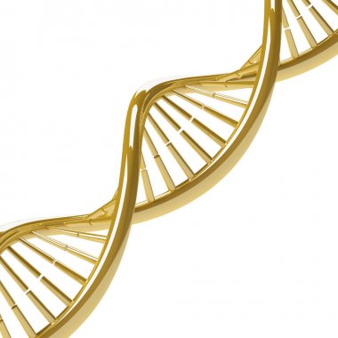 DNA molekülü