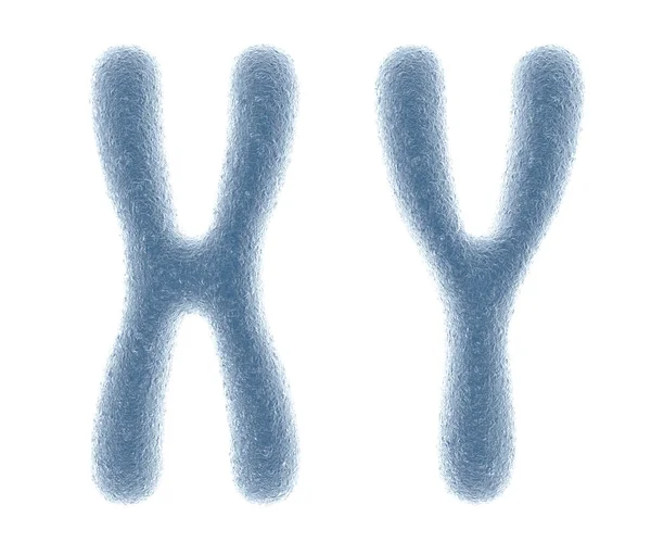 Chromosomes — Stock Photo, Image