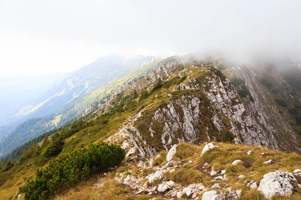 Spannend Landschap Het Roemeense Carpatians Bergen — Stockfoto