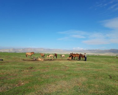 Moğol kırsalında eşsiz şeyler 