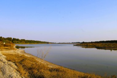 Bataklık 'ın güzel bir manzarası, BAE.