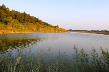 Bataklık 'ın güzel bir manzarası, BAE.