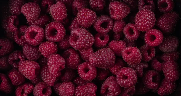 Biyolojik ahududuları kapatın. Makro fotoğrafçılık.