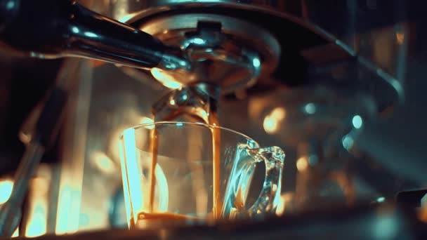 Kaffemaskin Professionell Kaffebryggning Barista Gör Färsk Kaffe Latte Gör Kopp — Stockvideo