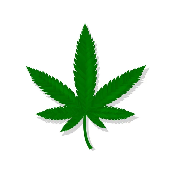 Folha Cannabis Fundo Isolado Branco Projeto Logotipo Cbd Para Laboratório — Vetor de Stock