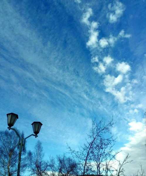 Piękne Niebo Street Lamp Drzewa — Zdjęcie stockowe