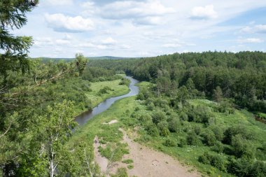 Ormandaki parlak güneş .