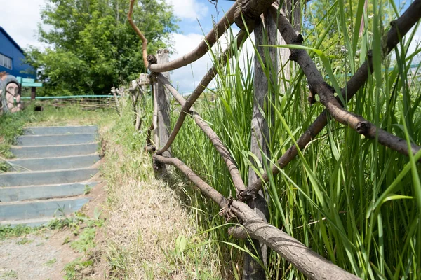 Merdivenlerde, dalların korkuluklarında