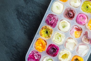 Düğünçiçeği çiçeklenir donmuş koyu arka plan, üstten görünüm buz küpleri ile tepsi