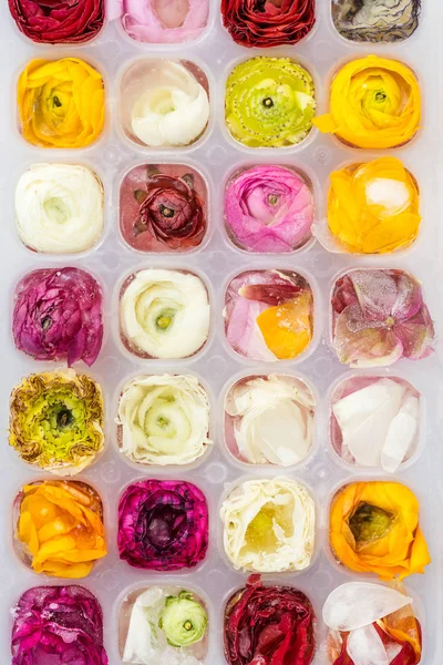 Brettet Med Frossen Ranunculus Flowers Ice Cubes Marmorbakgrunn Flott Utsikt – stockfoto
