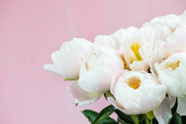 Beautiful bouquet of white Chinese peonies with Water Drops on light background clipart