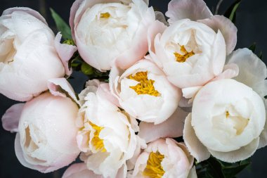 Mermer zemin üzerine su damlaları ile beyaz Çin peonies güzel buket