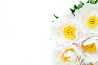 Işık arka plan üzerinde beyaz Çin peonies güzel buket. Görüntü izole kart kavramı, metin, kopya alanı için yer