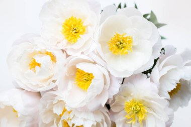 Işık arka plan üzerinde beyaz Çin peonies güzel buket. Kart kavramı, metin, kopya alanı için yer.