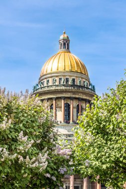 Saint Isaac Katedrali, St Petersburg, Rusya güzel yaz günü sırasında