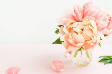 Pembe bir arka plan üzerinde küçük bir vazoda pembe peonies taze demet. Kart kavramı, pastel renkler, görüntü, metin için yer yakından
