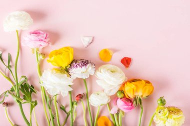 Düğünçiçeği düğün çiçeği çiçeklerin farklı renkler, Bahar veya anneler günü kavramı, metin için yer yakın çekim