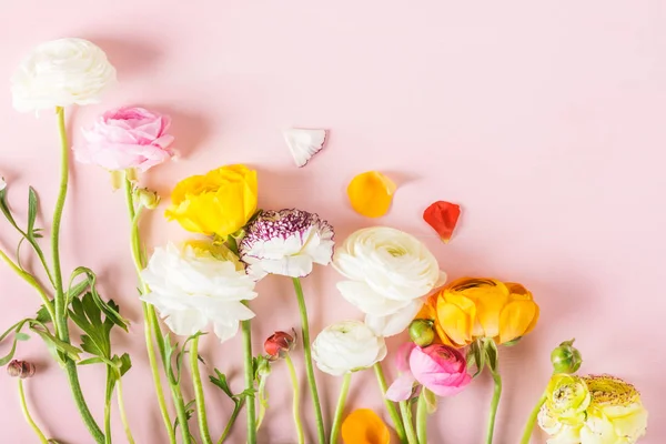 Düğünçiçeği düğün çiçeği çiçeklerin farklı renkler, Bahar veya anneler günü kavramı, metin için yer yakın çekim