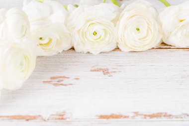 Grup beyaz Düğünçiçeği Buttercup çiçekler, Bahar veya anneler günü kavramı, kopya alanı kapat