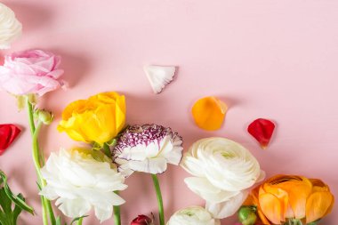 Düğünçiçeği düğün çiçeği çiçeklerin farklı renkler, Bahar veya anneler günü kavramı, metin için yer yakın çekim