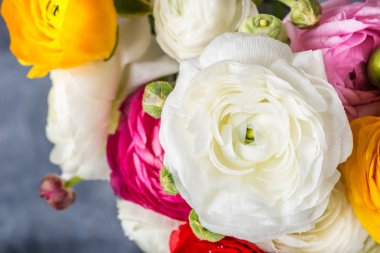 Düğünçiçeği düğün çiçeği çiçeklerin farklı renkler, Bahar veya anneler günü kavramı, metin için yer yakın çekim