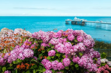 Güzel yaz günü Llandudno deniz açık ön ortanca ile Tepesi'nden Kuzey Galler, Birleşik Krallık, görünümde