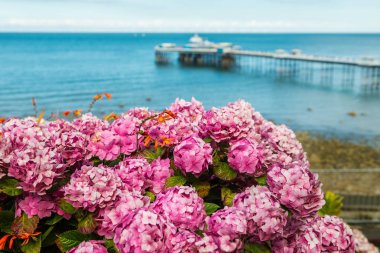 Güzel yaz günü Llandudno deniz açık ön ortanca ile Tepesi'nden Kuzey Galler, Birleşik Krallık, görünümde