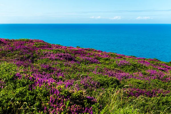 Beautiful Summer Day Llandudno Sea Front North Wales United Kingdom Royalty Free Stock Images
