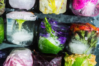 Bahar çiçekleri koyu arka plan üzerinde buz küpleri içinde donmuş