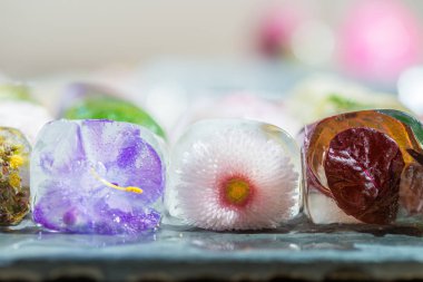 Bahar çiçekleri koyu arka plan üzerinde buz küpleri içinde donmuş