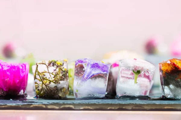 Замороженные Весенние Цветы Кубиках Льда Тёмном Фоне — стоковое фото