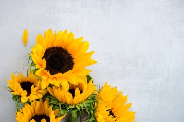 Gri Arkaplan Üzerinde Sarı Ayçiçeği Çiçeği, Sonbahar Konsepti, Üst Görünüm, Metin İçin Yer