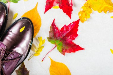 Son moda deri dantel Brogues yaprakları ile yukarı. Kompozisyon sonbahar yapraklarından yapılmış. Düz yatıyordu, en iyi görünümü