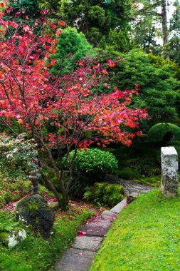 Güzel İngilizce kamu bahçe sırasında sonbahar sezonu, İngiltere, İngiltere