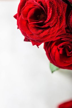 Mükemmel bir buket kırmızı gül, aşk ve romantizm kavramı
