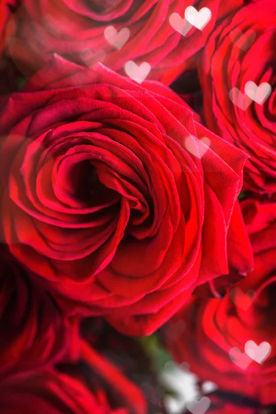 Perfekter Strauß Roter Rosen Liebes Und Romantikkonzept — Stockfoto