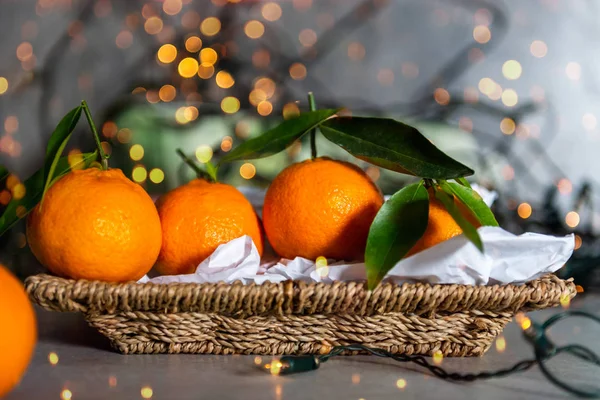 Clémentines Fraîches Tangerines Dans Panier Avec Lumières Noël Branches Arbres — Photo