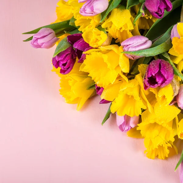 Schöner Strauß Von Tulpen Und Gelben Narzissen Auf Rosa Hintergrund — Stockfoto