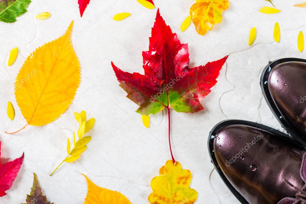 Trendy Leather Lace Up Brogues with Leaves. Composition made from autumn leaves. Flat lay, top view