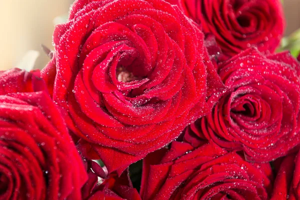 Bando Rosas Vermelhas Para Dia São Valentim Fundo Cinza Claro — Fotografia de Stock