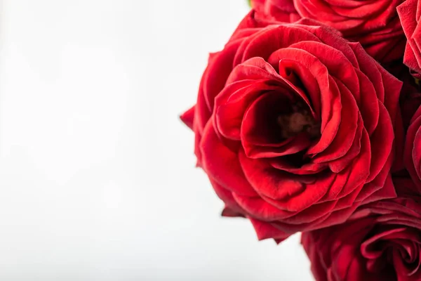 Belo buquê de rosas vermelhas, amor e romance conceito — Fotografia de Stock